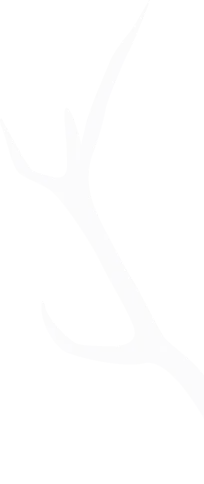 Antler-L