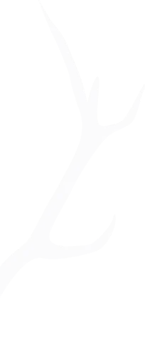 Antler-R